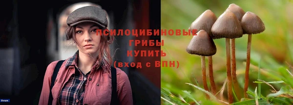 марки nbome Новодвинск