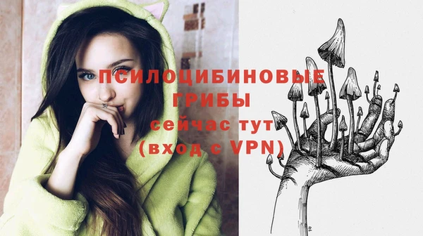 альфа пвп Новозыбков
